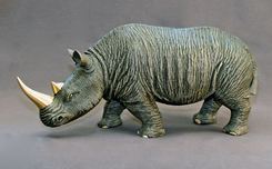 Barry Stein Barry Stein White Rhinoceros